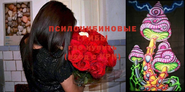 ешки Армянск